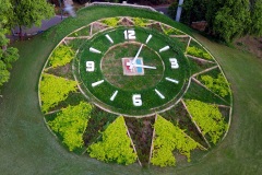 Flower-clock-sayajibaug